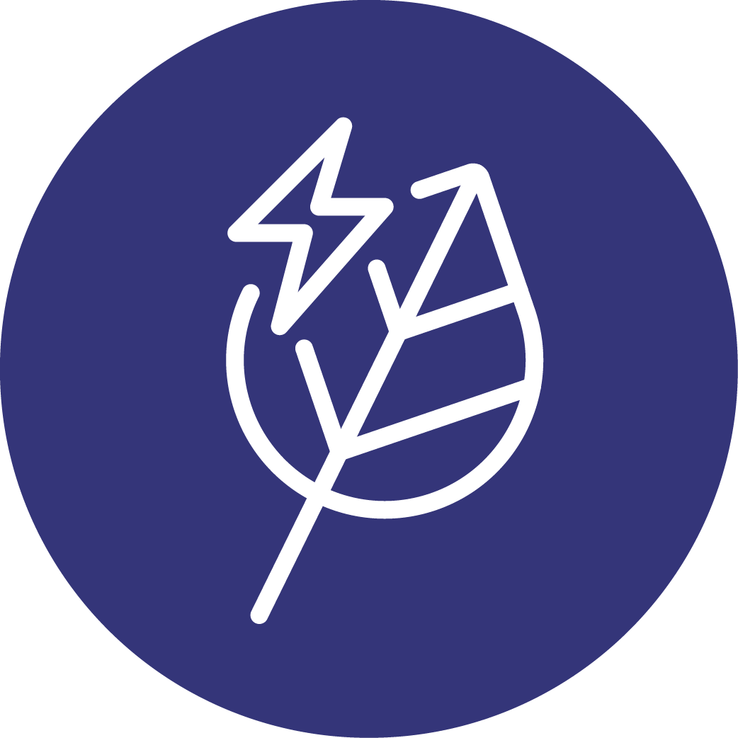 natural energy boost
